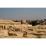 Site: Giza, View: Sphinx