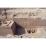 Site: Giza; View: G 2110, G 2115